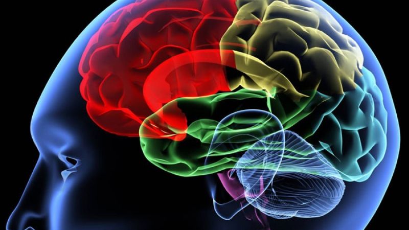 العلماء الذين يعملون على جهاز ذاكرة يشبه الدماغ